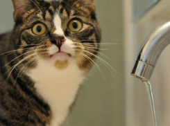 Тысячи сочинцев остались без воды из-за прорыва трубы 