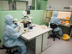 Как обстоит ситуация с коронавирусом на Кубани на 19 мая 