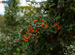 Вторая неделя ноября начнется в Краснодаре с переменчивой погоды