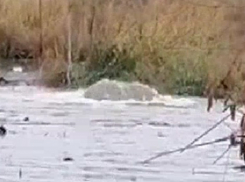 В Краснодаре появился фонтан с фекалиями