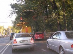 Чтобы обрезать деревья в Краснодаре, ждали 7-балльной загруженности дорог