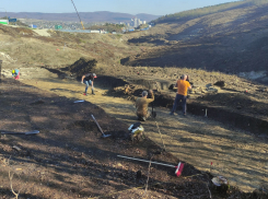 В Краснодарском крае на месте строительства развязки обнаружили древнее погребение воина с конем