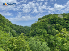 «Тряхануло нормально»: жители Сочи пережили землетрясение