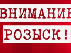 В Краснодарском крае волонтеров научат искать пропавших людей