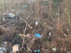 У мэрии Краснодара выросла свалка