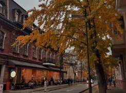 Зима близко? В Краснодаре 25 ноября шесть градусов тепла