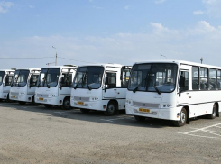 В Краснодаре создадут Центр поддержки пассажиров общественного транспорта