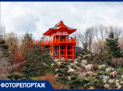 Показываем открытие Японского сада в парке Галицкого – самого большого в мире: фоторепортаж