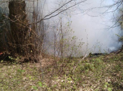 На Кубани начались лесные пожары