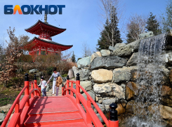 Последнее воскресенье зимы выдастся дождливым в Краснодаре