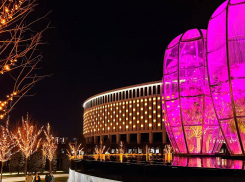 В парке «Галицкого» включили новогоднюю подсветку