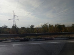  Новорожденного мальчика нашел водитель у дороги на Кубани 