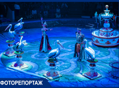 В Краснодаре состоялась премьера «Королевского цирка»