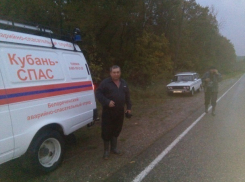 В лесу под Белореченском заблудился грибник 