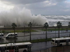 Ливни, грозы, ветер до 20 м/с — штормовое предупреждение в Сочи