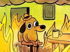 Комикс о погорельцах в Краснодаре рассорил интернет-пользователей