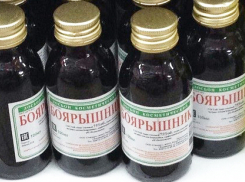  «Боярышник» в преддверии Октябрьской революции вернулся в Краснодар 