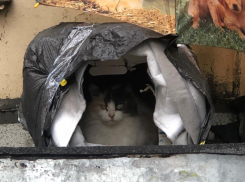 Ливни в Краснодарском крае задержатся