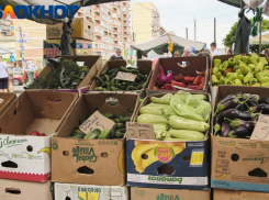 В Краснодаре 11 марта проходят ярмарки выходного дня