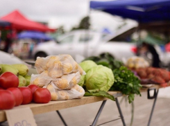 В Краснодаре 3 декабря пройдут ярмарки выходного дня