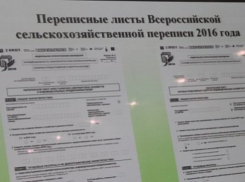 Первого июля стартует всероссийская сельскохозяйственная перепись