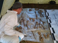 Количество найденных трупов при строительстве ливневки в Новороссийске достигло 25