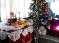  Водитель маршрутки в Новороссийске накрыл для пассажиров стол прямо в автобусе 