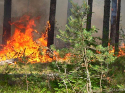На территории края действует экстренное предупреждение по пожароопасности