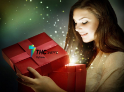 «ТНС энерго Кубань» объявляет результаты акции «Свет в подарок»