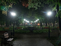 В Краснодаре отважный прохожий спас от изнасилования 8-летнюю девочку