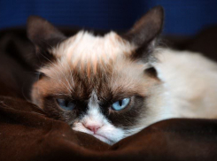 Дождь, гроза и град: погода на Кубани вновь разбушевалась