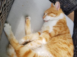 Гроза, град и дождь снова обоснуются на Кубани 