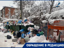 Мусорный коллапс образовался из-за сильнейшего снегопада в Краснодаре 