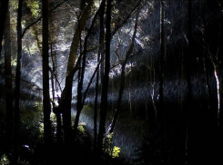 Полицейские Кубани задержали грабителя, который жил в лесу