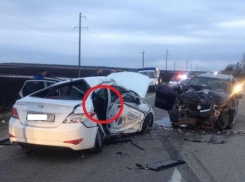 Знаменитый судья самбо погиб на трассе «Краснодар-Майкоп»