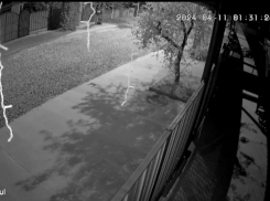 «Плясала посуда и дом колыхнуло»: как ощутили землетрясение жители Краснодарского края и Адыгеи