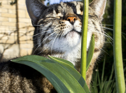 Выходные, которые мы заслужили: на Кубани тепло и солнечно