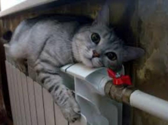 На подготовку к зиме на Кубани выделено 1,5 миллиарда рублей