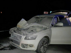 Сбитых пешеходов в Северском районе от удара разорвало на части