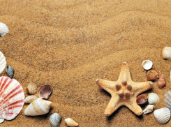 Без осадков: в Краснодаре синоптики обещают жару до +30 градусов 