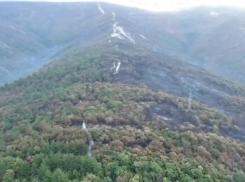 «Ущерб может быть рекордным»: в Геленджике почти двое суток тушили лесной пожар