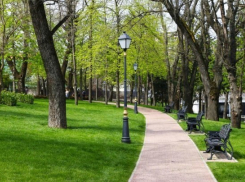  Две новые зеленые зоны появятся в Краснодаре 