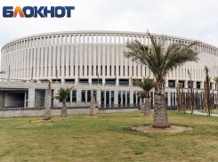 Мусаев, Писарев, Талалаев, Сторожук: ФК «Краснодар» ищет нового главного тренера