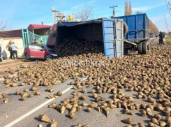 Камаз со свеклой убил водителя в ДТП под Курганинском