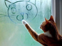 В Краснодаре и крае ожидаются жуткие дожди