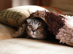 Температура воздуха на Кубани стремится к нулю