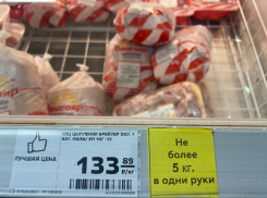 Не более 5 кг в одни руки: продажу курицы ограничили в Краснодаре