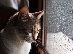 Гроза может помешать празднику в Краснодаре