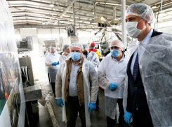 Вице-губернатор Кубани подвел промежуточные итоги по нацпроекту «Производительность труда»