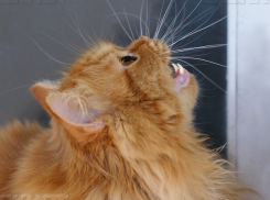 Дожди не намерены покидать Краснодарский край